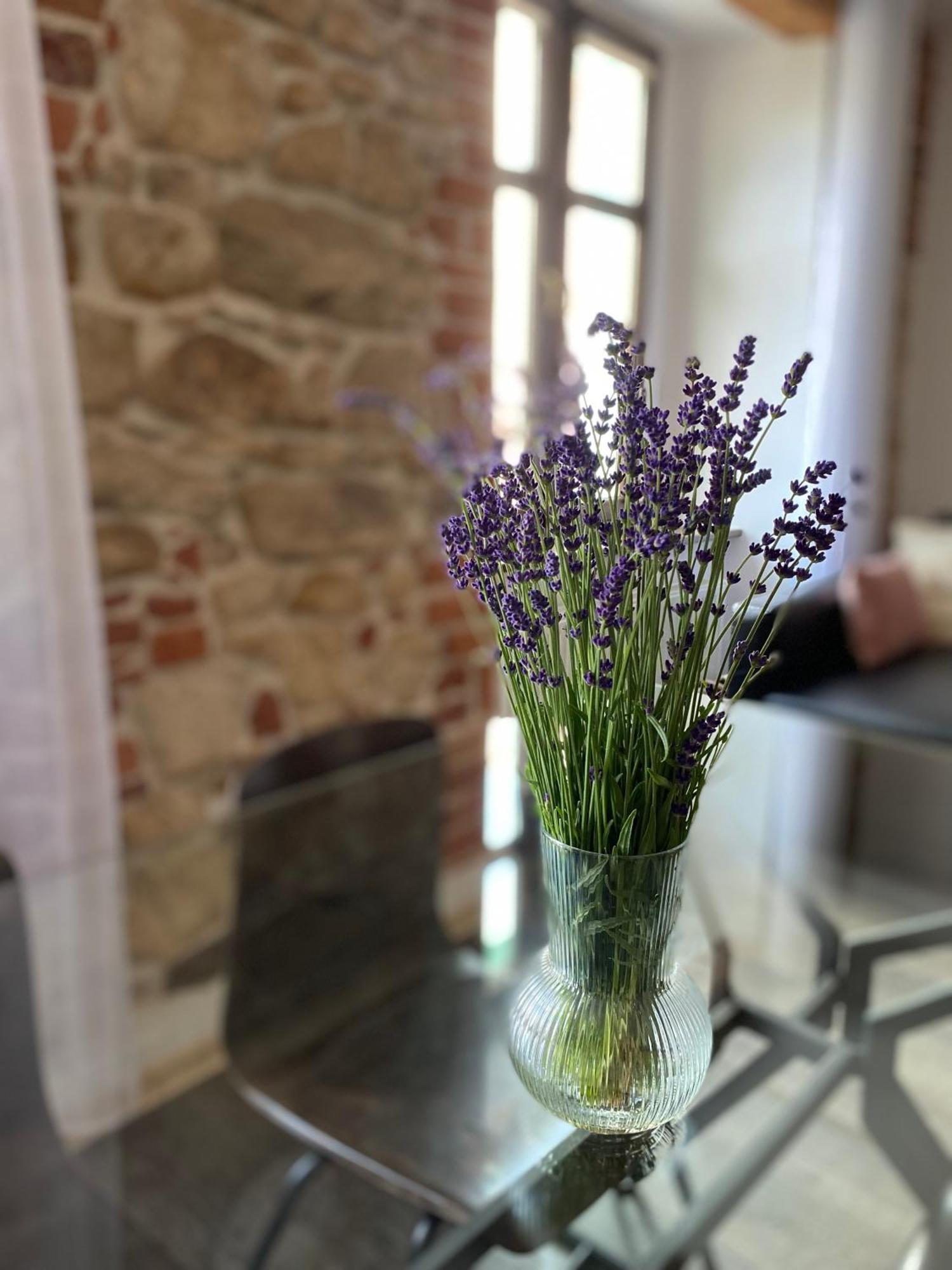 Apartament Przy Ratuszu Kłodzko Kültér fotó